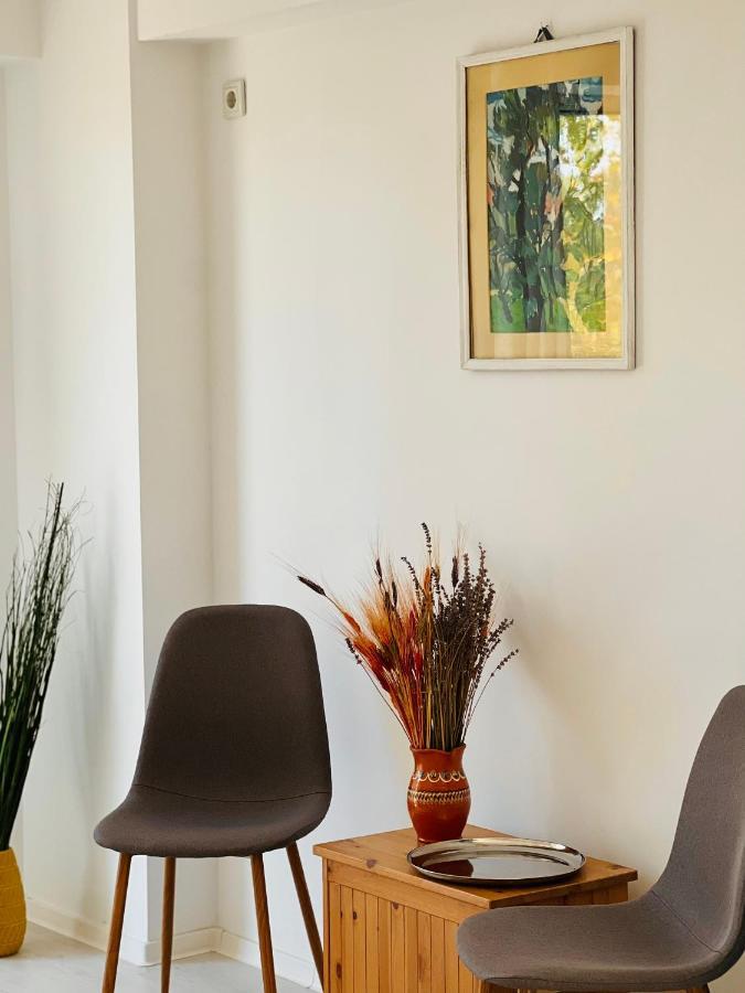The Airport Loft Apartment โอโตเปนี ภายนอก รูปภาพ